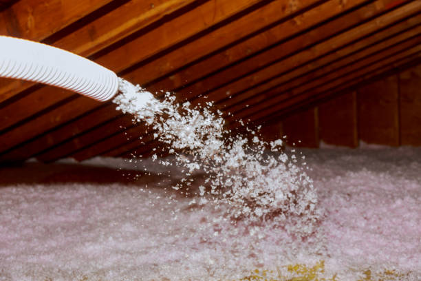 Attic Insulation Near Me in Nashville, AR